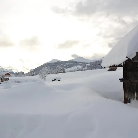 Haus Steinacker Daire