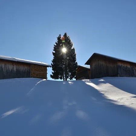 Haus Steinacker Daire *