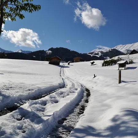 Haus Steinacker フィス