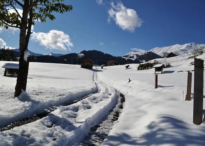 Haus Steinacker フィス