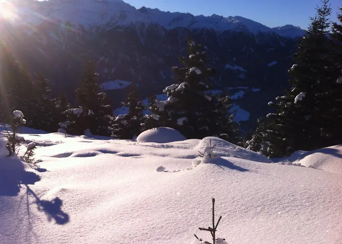 Haus Steinacker フィス