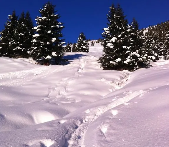 アパート Haus Steinacker